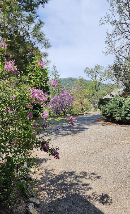 Yosemite Mountain Retreat Villa โอกเฮิร์สต์ ภายนอก รูปภาพ