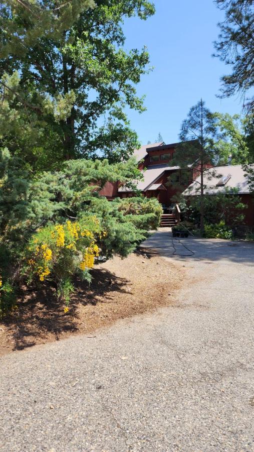 Yosemite Mountain Retreat Villa โอกเฮิร์สต์ ภายนอก รูปภาพ